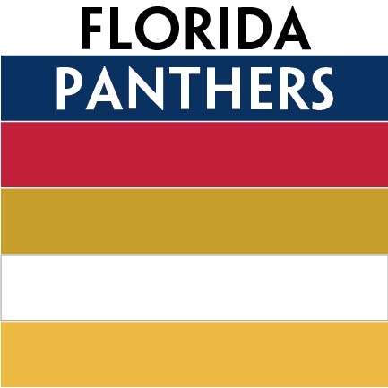 NHL colors Florida Panthers Personalized mini hockey stick